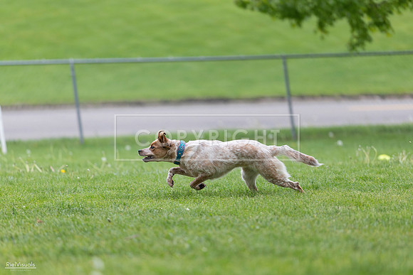 RielVisuals_20260518_180958_SJR_2423