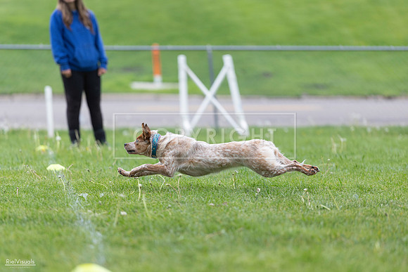 RielVisuals_20260518_180959_SJR_2436
