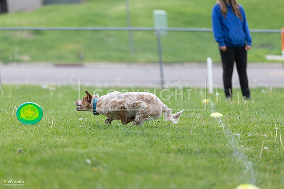 RielVisuals_20260518_180959_SJR_2442