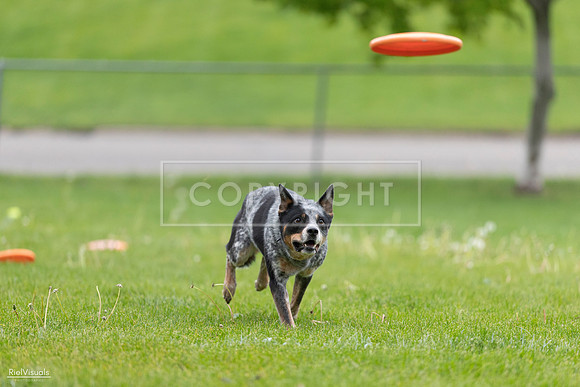 RielVisuals_20260518_181235_SJR_2475