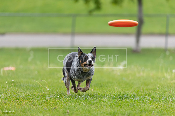 RielVisuals_20260518_181235_SJR_2479