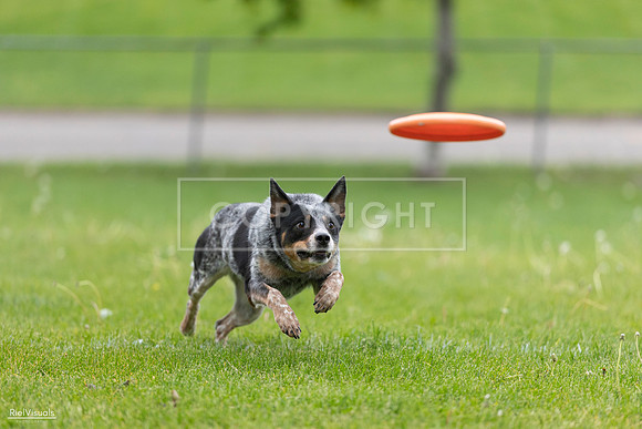 RielVisuals_20260518_181235_SJR_2482