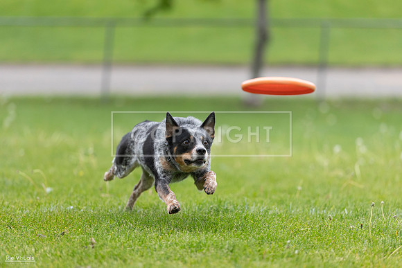 RielVisuals_20260518_181235_SJR_2483
