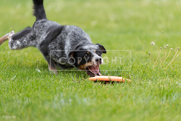 RielVisuals_20260518_181235_SJR_2496