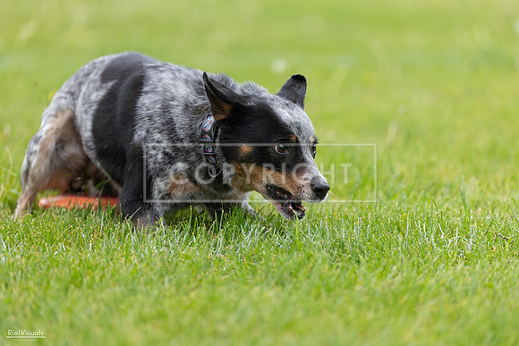 RielVisuals_20260518_181236_SJR_2502