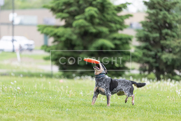 RielVisuals_20260518_181248_SJR_2521