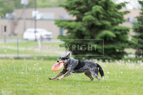 RielVisuals_20260518_181248_SJR_2528