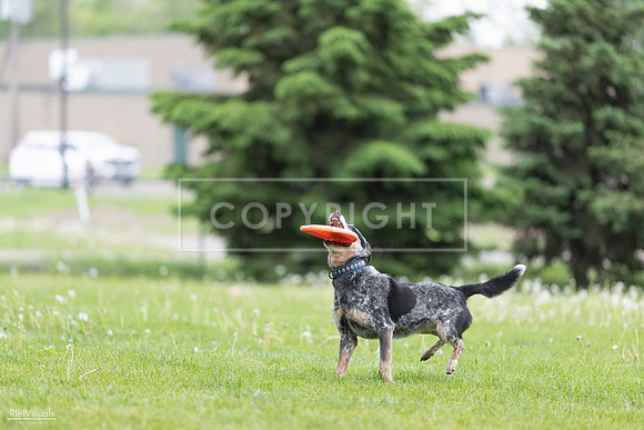 RielVisuals_20260518_181248_SJR_2522