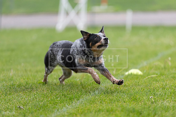 RielVisuals_20260518_181257_SJR_2561