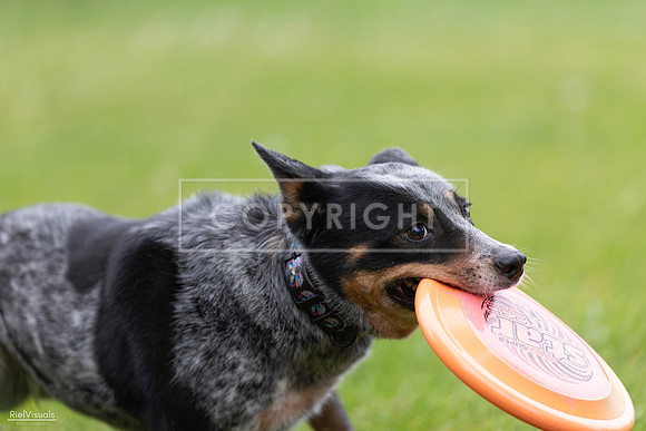 RielVisuals_20260518_181258_SJR_2585