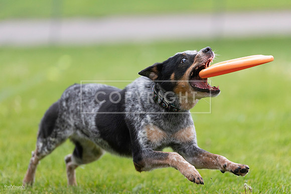 RielVisuals_20260518_181257_SJR_2572