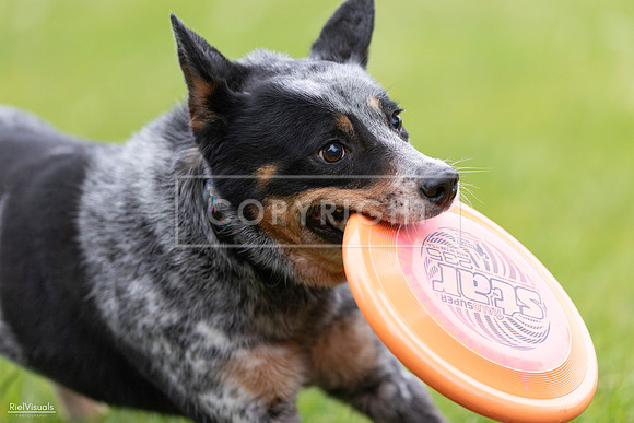 RielVisuals_20260518_181258_SJR_2591