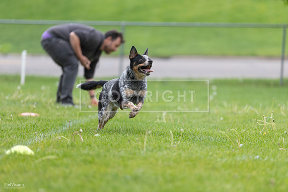 RielVisuals_20260518_181307_SJR_2601