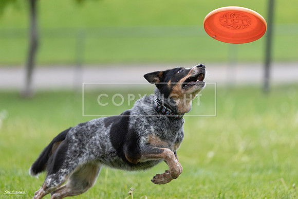 RielVisuals_20260518_181308_SJR_2640