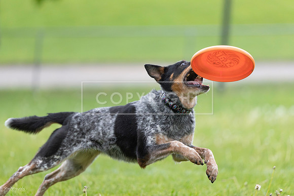 RielVisuals_20260518_181308_SJR_2642