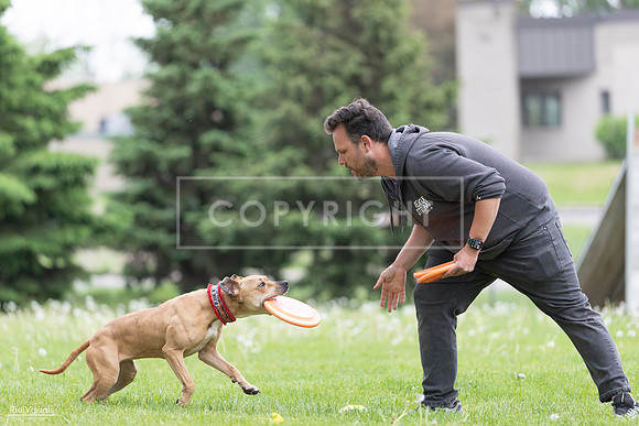 RielVisuals_20260518_181629_SJR_2833