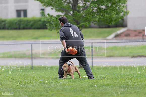 RielVisuals_20260518_181638_SJR_2850