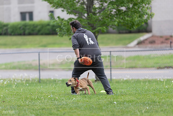 RielVisuals_20260518_181638_SJR_2853