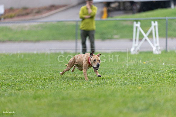 RielVisuals_20260518_181642_SJR_2858