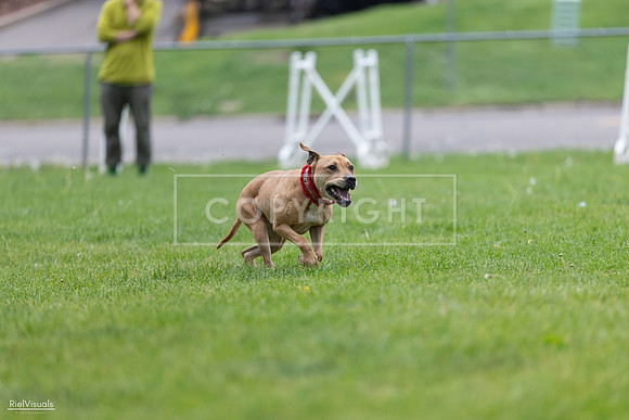 RielVisuals_20260518_181642_SJR_2865