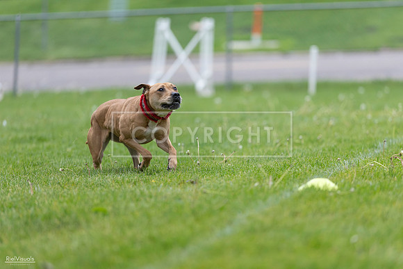 RielVisuals_20260518_181643_SJR_2875