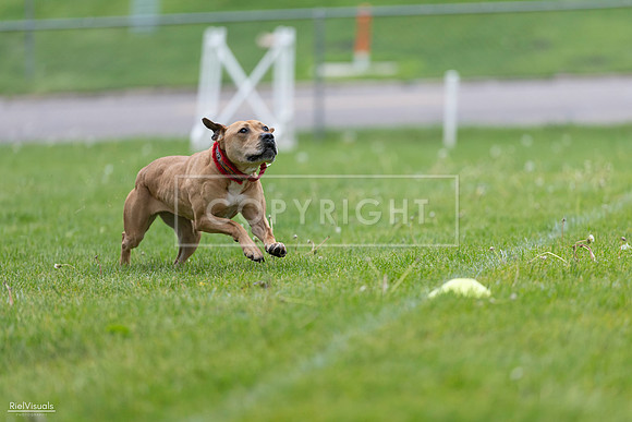 RielVisuals_20260518_181643_SJR_2876