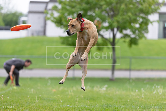 RielVisuals_20260518_181655_SJR_2931