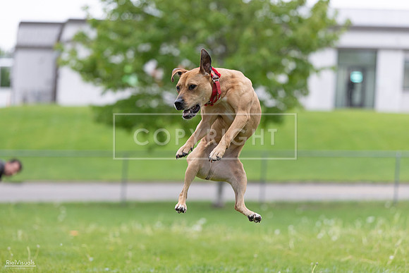 RielVisuals_20260518_181655_SJR_2936