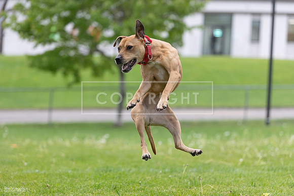 RielVisuals_20260518_181655_SJR_2939
