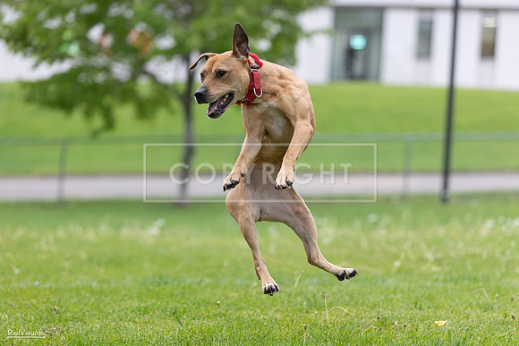 RielVisuals_20260518_181655_SJR_2940