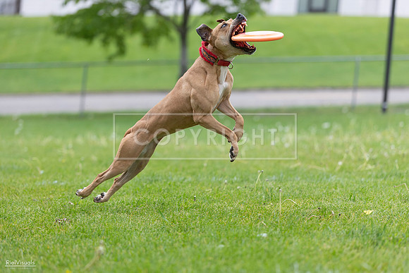 RielVisuals_20260518_181722_SJR_3020