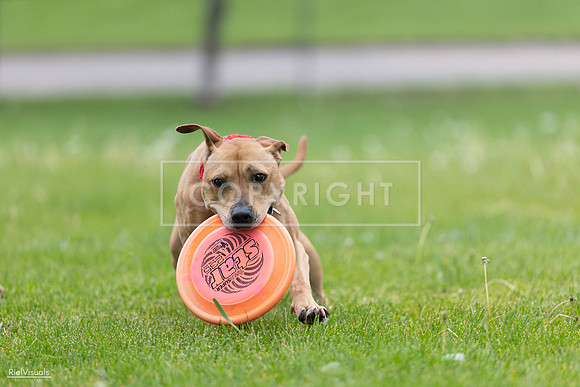 RielVisuals_20260518_181702_SJR_2968