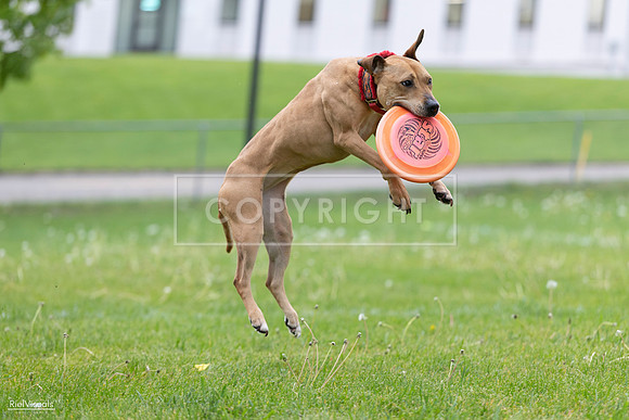 RielVisuals_20260518_181722_SJR_3026