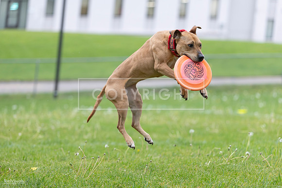 RielVisuals_20260518_181722_SJR_3028