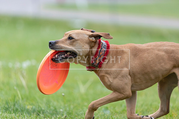 RielVisuals_20260518_181725_SJR_3062