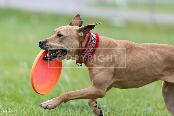 RielVisuals_20260518_181725_SJR_3064
