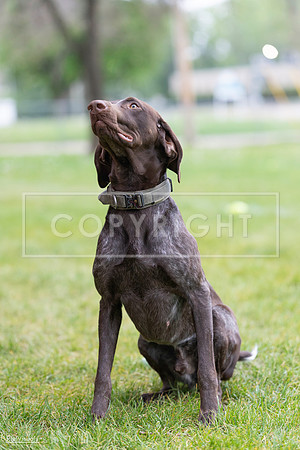 RielVisuals_20260518_181904_SJR_3116