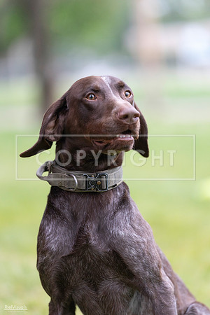 RielVisuals_20260518_181906_SJR_3125