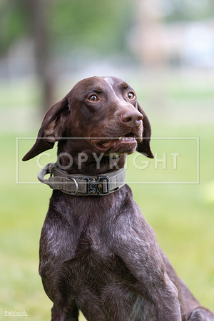 RielVisuals_20260518_181906_SJR_3126
