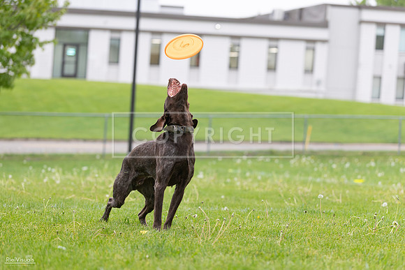RielVisuals_20260518_182030_SJR_3234