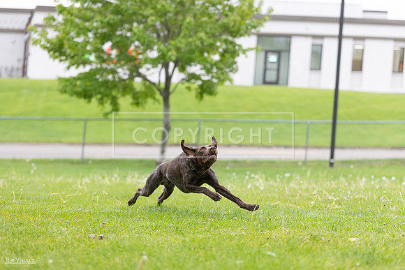 RielVisuals_20260518_182029_SJR_3220