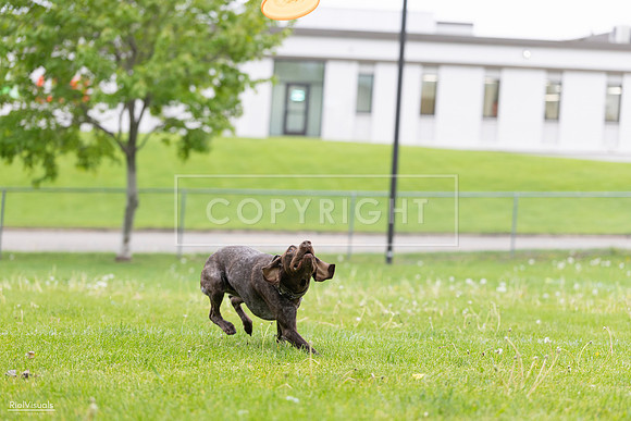RielVisuals_20260518_182029_SJR_3225