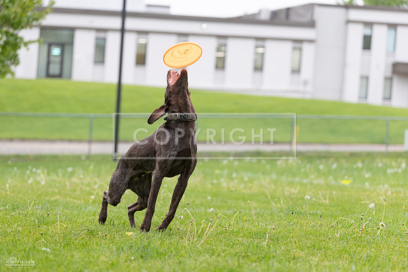 RielVisuals_20260518_182030_SJR_3235