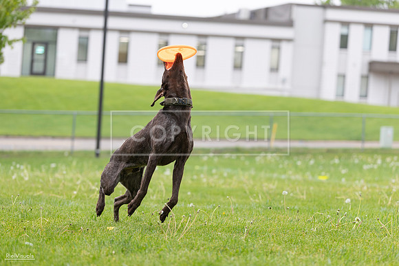 RielVisuals_20260518_182030_SJR_3236