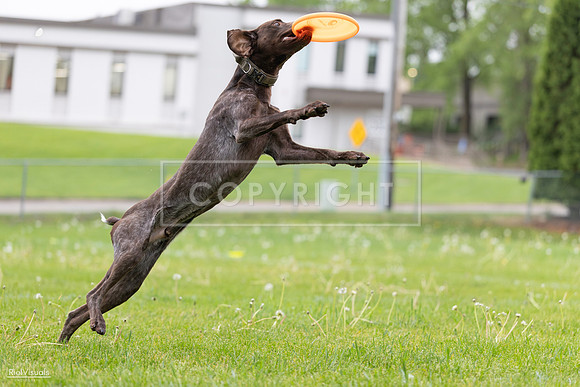 RielVisuals_20260518_182030_SJR_3246