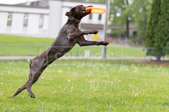 RielVisuals_20260518_182030_SJR_3247