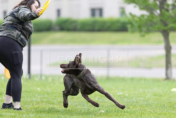 RielVisuals_20260518_182041_SJR_3276