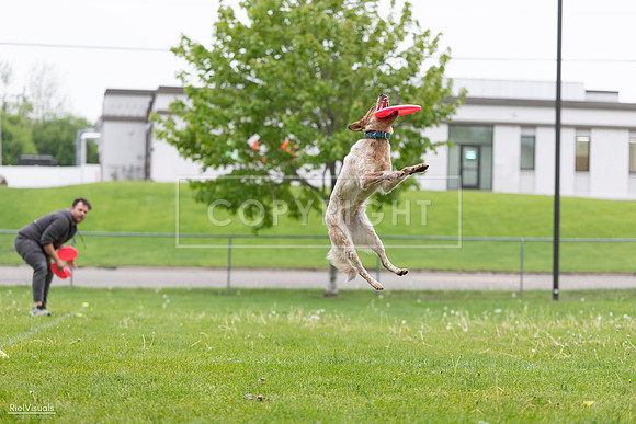 RielVisuals_20260518_182251_SJR_3405