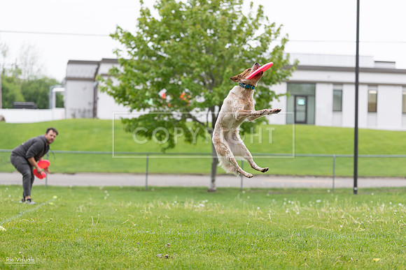 RielVisuals_20260518_182251_SJR_3406