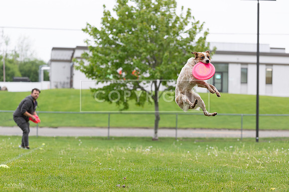 RielVisuals_20260518_182251_SJR_3412